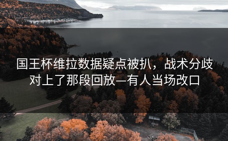 国王杯维拉数据疑点被扒，战术分歧对上了那段回放—有人当场改口